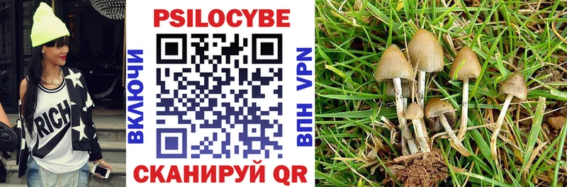 блэк спрут онион  Тула  Галлюциногенные грибы ЛСД 
