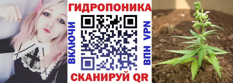 Шишки марихуана сатива  Тула 